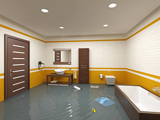  Plandome, NY Water damage restoration Pros